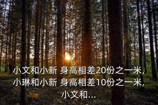 小文和小新 身高相差20份之一米,小琳和小新 身高相差10份之一米,小文和...