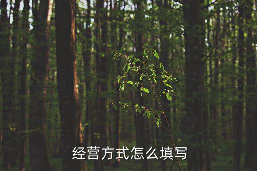  經(jīng)營(yíng)方式怎么填寫(xiě)