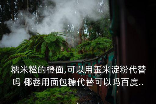 椰蓉糯米糍,先蒸籠再蒸籠!!