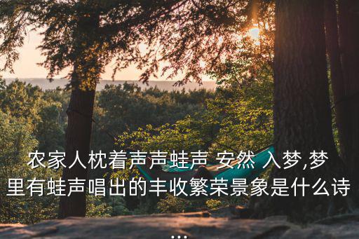安然入夢,稻花香說好年聽蛙聲展現詩人審美體驗