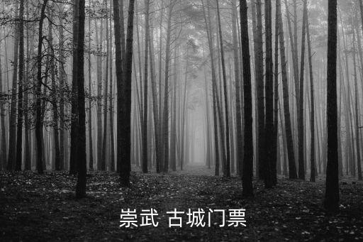  崇武 古城門票