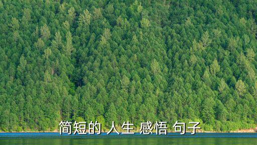 簡短人生感悟經(jīng)典句子,人到中年才知道要改變自己