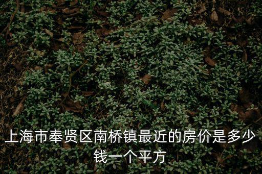 上海市奉賢區(qū)南橋鎮(zhèn)最近的房?jī)r(jià)是多少錢一個(gè)平方
