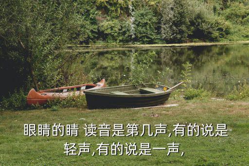  眼睛的睛 讀音是第幾聲,有的說(shuō)是輕聲,有的說(shuō)是一聲,