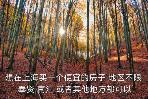 想在上海買一個便宜的房子 地區(qū)不限 奉賢 南匯 或者其他地方都可以