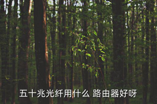 五十兆光纖用什么 路由器好呀