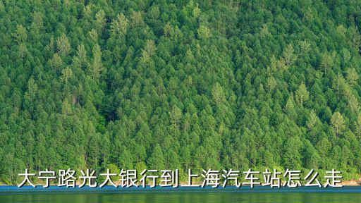 大寧路光大銀行到上海汽車站怎么走