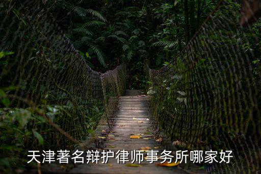 天津著名辯護律師事務所哪家好