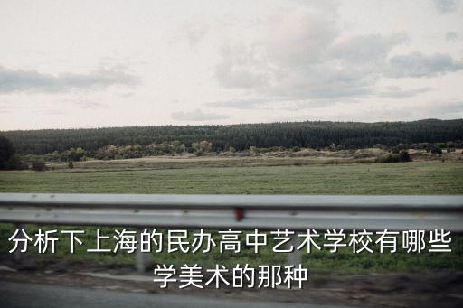 上海市私立藝術(shù)高中，路過的說說上海有好一點(diǎn)的私立的藝術(shù)高中嗎