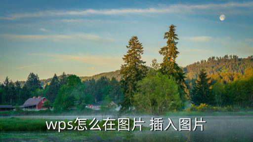 wps怎么在圖片 插入圖片