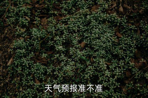 天氣預報準不準