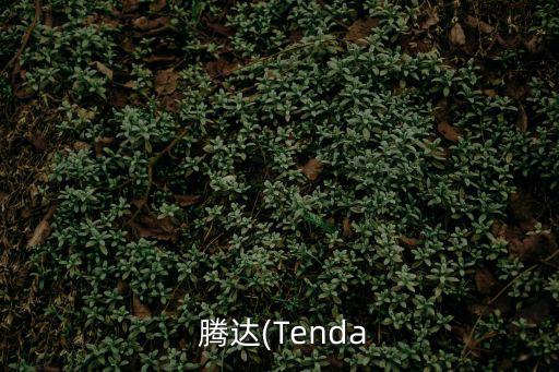  騰達(Tenda