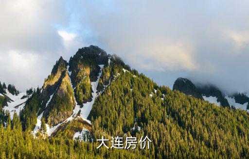 大連體育新城房?jī)r(jià)如何，大連房?jī)r(jià)如何