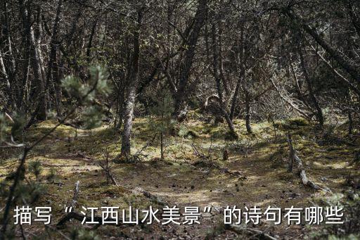 江西山,我要唱一首廬山的歌,因山的氣息而生的歌