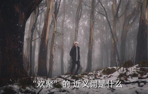 聚會(huì)的近義詞,第一集:聚會(huì)是什么意思?