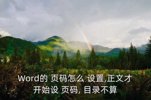 目錄頁碼怎么設置,點擊進入設置頁面格式選擇確定按鈕