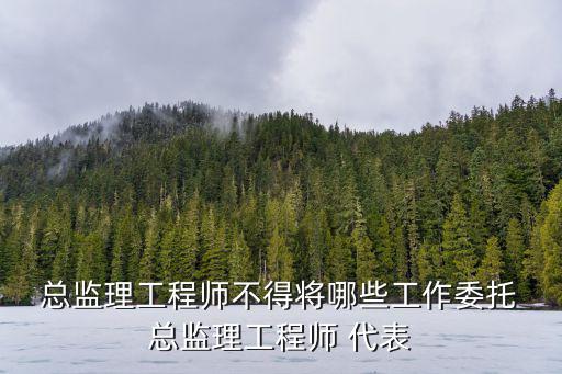  總監理工程師不得將哪些工作委托 總監理工程師 代表