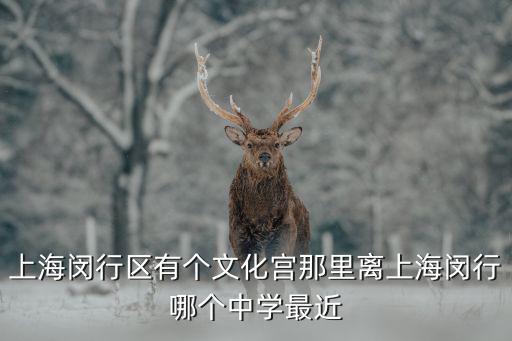 上海市巨峰路文化宮，上海閔行區有個文化宮那里離上海閔行哪個中學最近