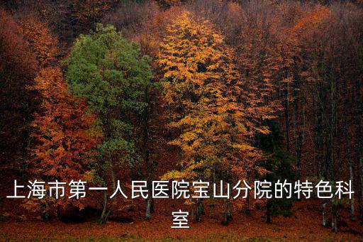 上海市第一人民醫(yī)院寶山分院的特色科室