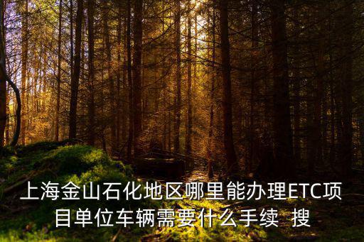 上海市金山區石化ETC營業廳，上海金山石化地區哪里能辦理ETC項目單位車輛需要什么手續  搜