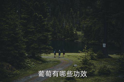 葡萄的功效與作用,葡萄的功效有哪些?