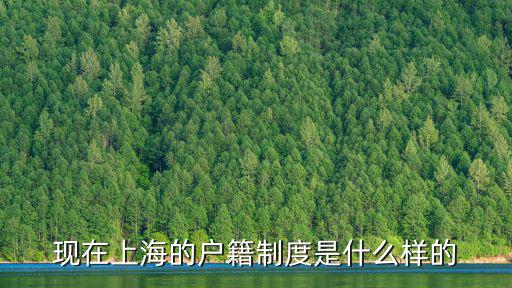 現在上海的戶籍制度是什么樣的