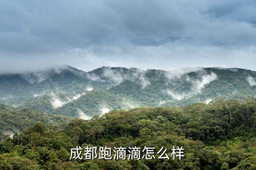 在成都市跑滴滴怎么樣，綿陽(yáng)的車在成都開滴滴怎么樣