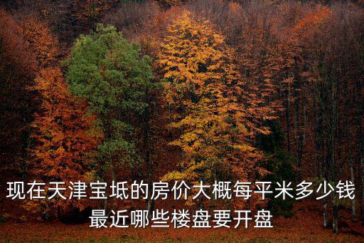 現在天津寶坻的房價大概每平米多少錢最近哪些樓盤要開盤