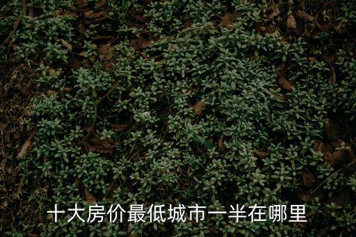 十大房價最低城市一半在哪里