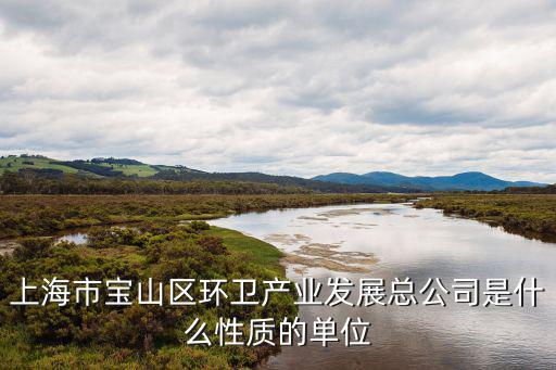 上海市寶山區環衛產業發展總公司是什么性質的單位