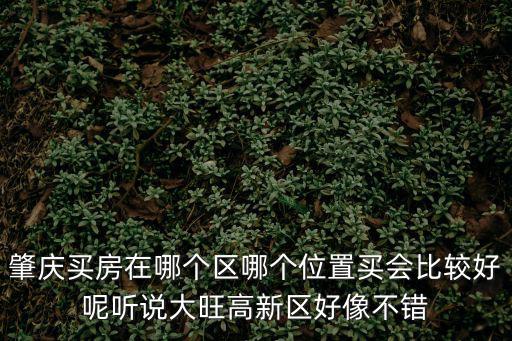 肇慶買房在哪個區哪個位置買會比較好呢聽說大旺高新區好像不錯