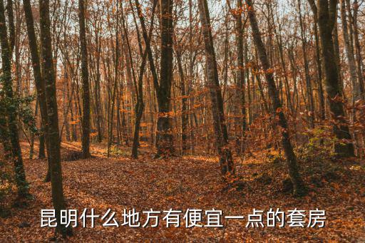 昆明什么地方有便宜一點的套房