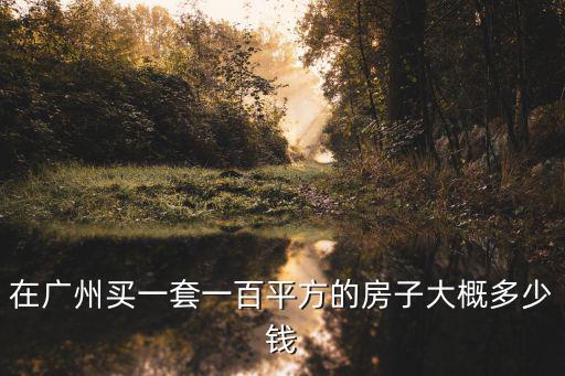 在廣州買一套一百平方的房子大概多少錢