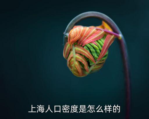上海人口密度是怎么樣的