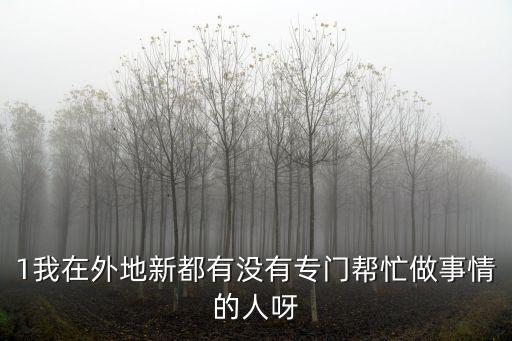 1我在外地新都有沒有專門幫忙做事情的人呀