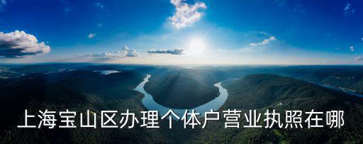 上海寶山區辦理個體戶營業執照在哪