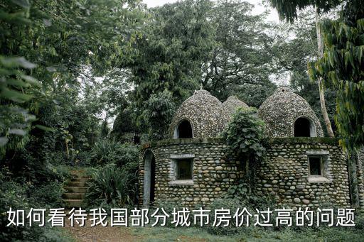 如何看待我國部分城市房價(jià)過高的問題