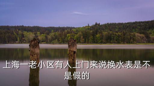 上海一老小區(qū)有人上門來說換水表是不是假的