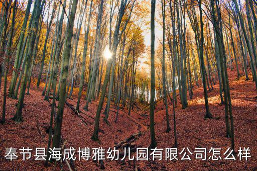 奉節縣海成博雅幼兒園有限公司怎么樣
