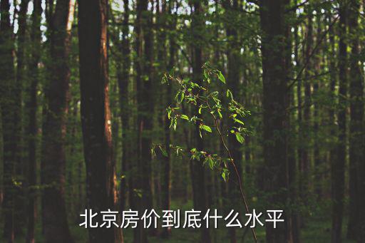 北京房價(jià)到底什么水平
