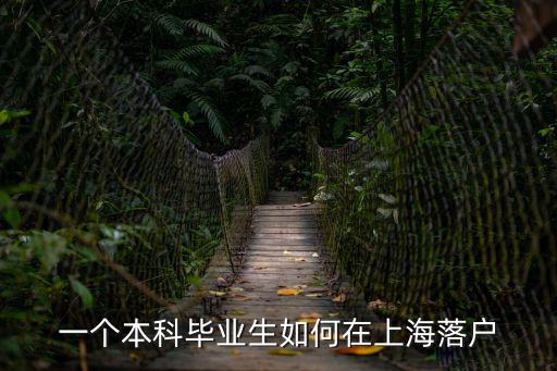 上海本科大學(xué)生落戶政策，現(xiàn)在上海每年給多少應(yīng)屆畢業(yè)外地大學(xué)生上海戶口啊