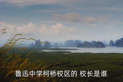 上海市魯迅初級中學現任校長，上海魯迅中學初中部怎么樣和鐘山中學比如何和楊浦的同濟初中