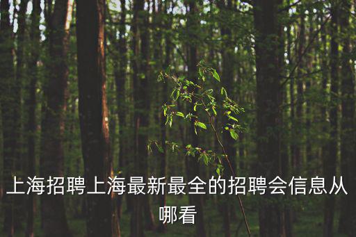 上海招聘上海最新最全的招聘會信息從哪看