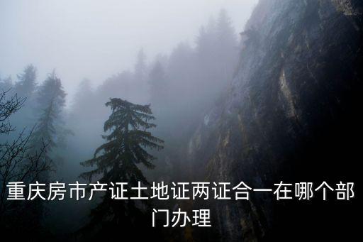 重慶房市產(chǎn)證土地證兩證合一在哪個部門辦理