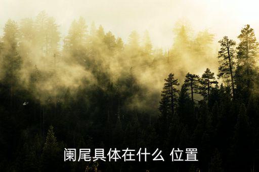 闌尾具體在什么 位置