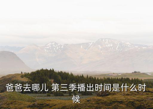 真正男子漢第三季,《real男子漢第一季》湖南衛(wèi)視首播