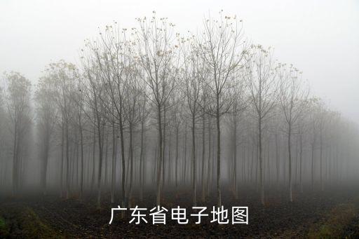 廣東省電子地圖