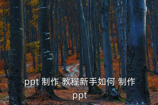  ppt 制作 教程新手如何 制作 ppt