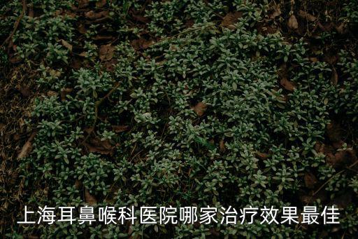 上海耳鼻喉科醫(yī)院哪家治療效果最佳