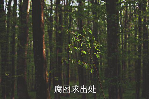  腐圖求出處